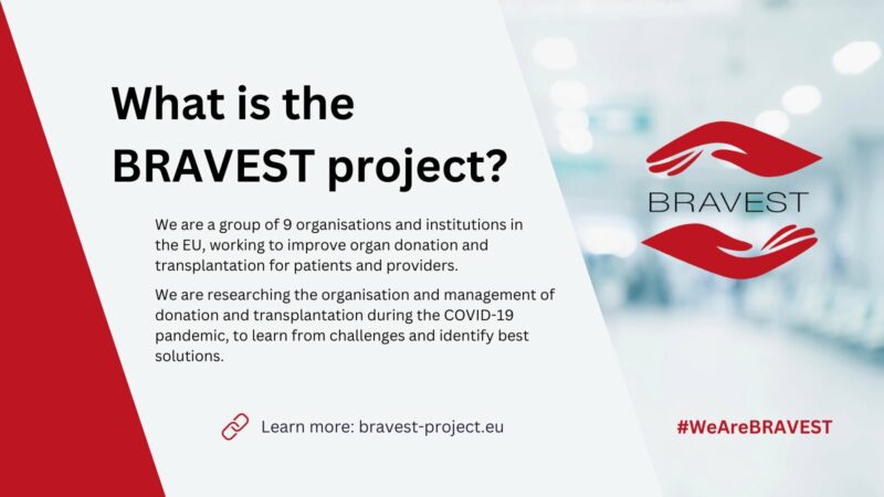 projekt Bravest