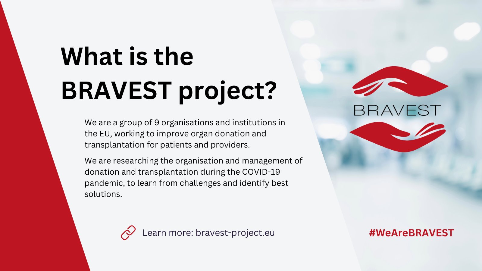 projekt Bravest